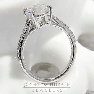 Style 103386: Lucia Cathedral Engagement Ring with Diamond Band