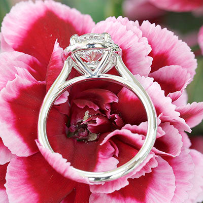 Style 103336: Cathedral Engagement Ring With A Round Pave Diamond Halo