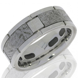 Style 103978: Cobalt Chrome 8mm Flat Band with 4 Meteorite Segments