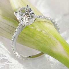Style 103342: The Victoria Engagement Ring for Oval Center with Pavé Diamond Band and Under Bezel